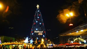 أكبر شجرة عيد ميلاد في العالم تقام في دورتموند